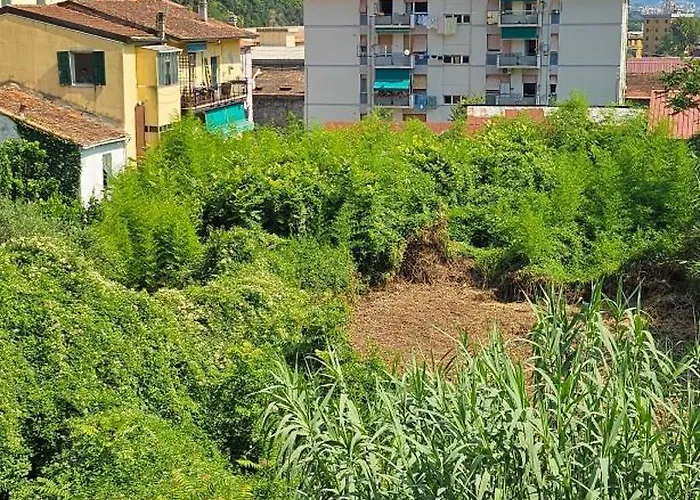 Casa Vudea Διαμέρισμα *